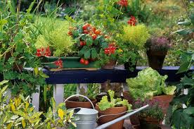 Create A Balcony Vegetable Garden The