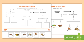 Animal Flow Chart Worksheet Animal Flow Chart Flow Chart