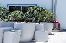 large pots for trees