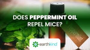 does peppermint oil repel mice keep