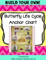 Butterfly Life Cycle Anchor Chart Freebie