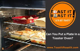 Can You Put A Plate In A Toaster Oven