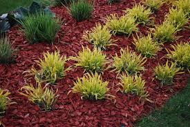 Maybe you would like to learn more about one of these? Dyed Mulch Vs Regular Mulch Using Colored Mulch In Gardens