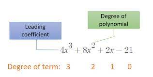 Polynomial In Standard Form