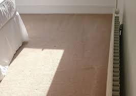 dry steam carpet cleaning in carshalton