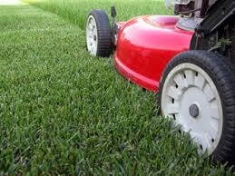 Eleven Simple Tips For Using Your Lawn Mower Safely