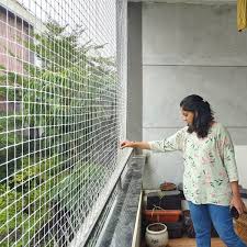Chennai Bird Netting Bird