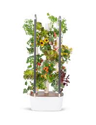 hydroponic indoor tower garden