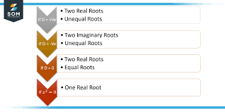 Root Finder Calculator Solver