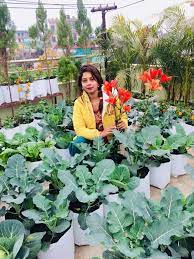 Rupandehi Housewife Grows All Her