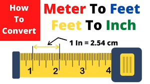 1 foot in m