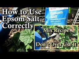 how to correctly use epsom salt on
