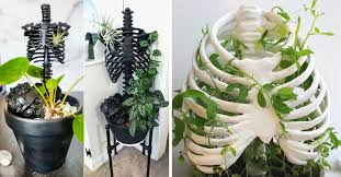 Skeleton Planter Lets Climbing Plants