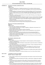 it systems administrator resume sles