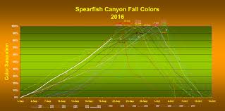 Spearfish Canyon Fall Colors Near The Peak
