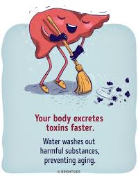 Image result for BODY EXCRETES TOXINS FASTER