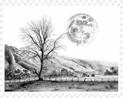 black and white landscape drawings