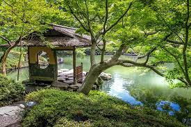 Japanese Zen Garden Japanese Nature