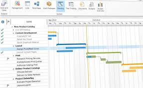 The Importance Of The Gantt Chart And The Critical Path For