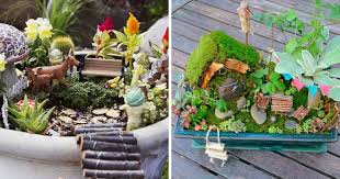 Fairy Garden With Succulents And Cacti