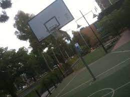 Basketball Courts In Melbourne Courts