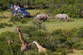 Malaria Free Safari Wildlife Tour