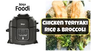 easy one pot meal in the ninja foodi