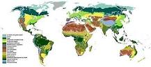 Image result for Plant Ecology