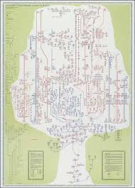 Family Tree Adam To Jesus Lineage Poster Free Shipping
