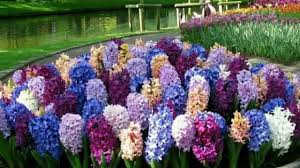 most beautiful flower gardens in the