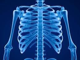 These bones attach to your rib cage. Slipping Rib Syndrome Causes Treatment And Diagnosis