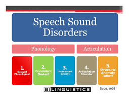 Success With Speech Sound Disorders Finding The Best Fit