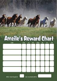 Personalised Horses Reward Chart Adding Photo Option Available