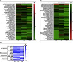 Ms amlin ag, labuan branch. Egjub1 And Egerf113 Transcription Factors As Potential Master Regulators Of Defense Response In Elaeis Guineensis Against The Hemibiotrophic Ganoderma Boninense Springerlink