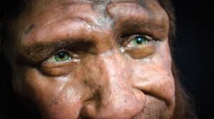 How about 3D printing a Neanderthal man? - Curiokids