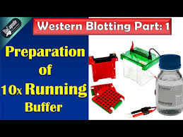 running buffer preparation