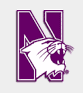 Image result for northwestern wildcats logo