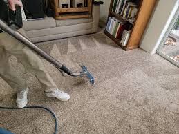 carpet shoo vs steam cleaner