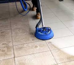 carpet cleaning strathroy steam