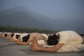 other programs intensify hatha yoga