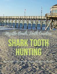myrtle beach sc shark teeth