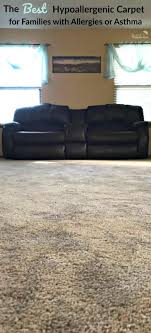 the best hypoallergenic carpet for