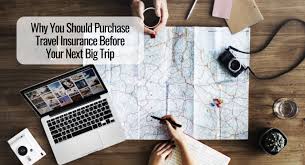 purchase travel insurance