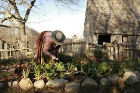 plimoth plantation in plymouth