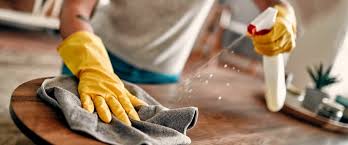house cleaning domestic cleaning services
