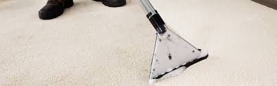 paradise carpet cleaners inc lincoln