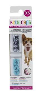 kitty caps nail caps for cats safe