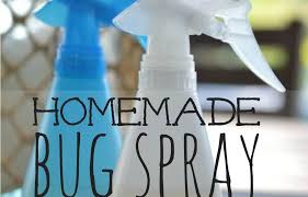 homemade bug spray living well