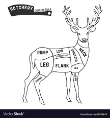 Deer Meat Cuts
