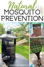 How To Keep Mosquitos Away From Your